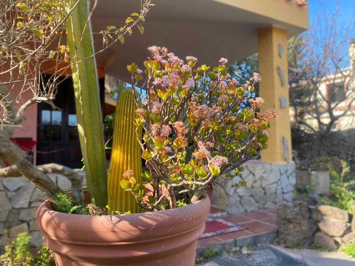 Lovely Home 5 Min Walk To The Beach, 3 Bedrooms Ample Outdoor Relax And Wifi Capitana Extérieur photo