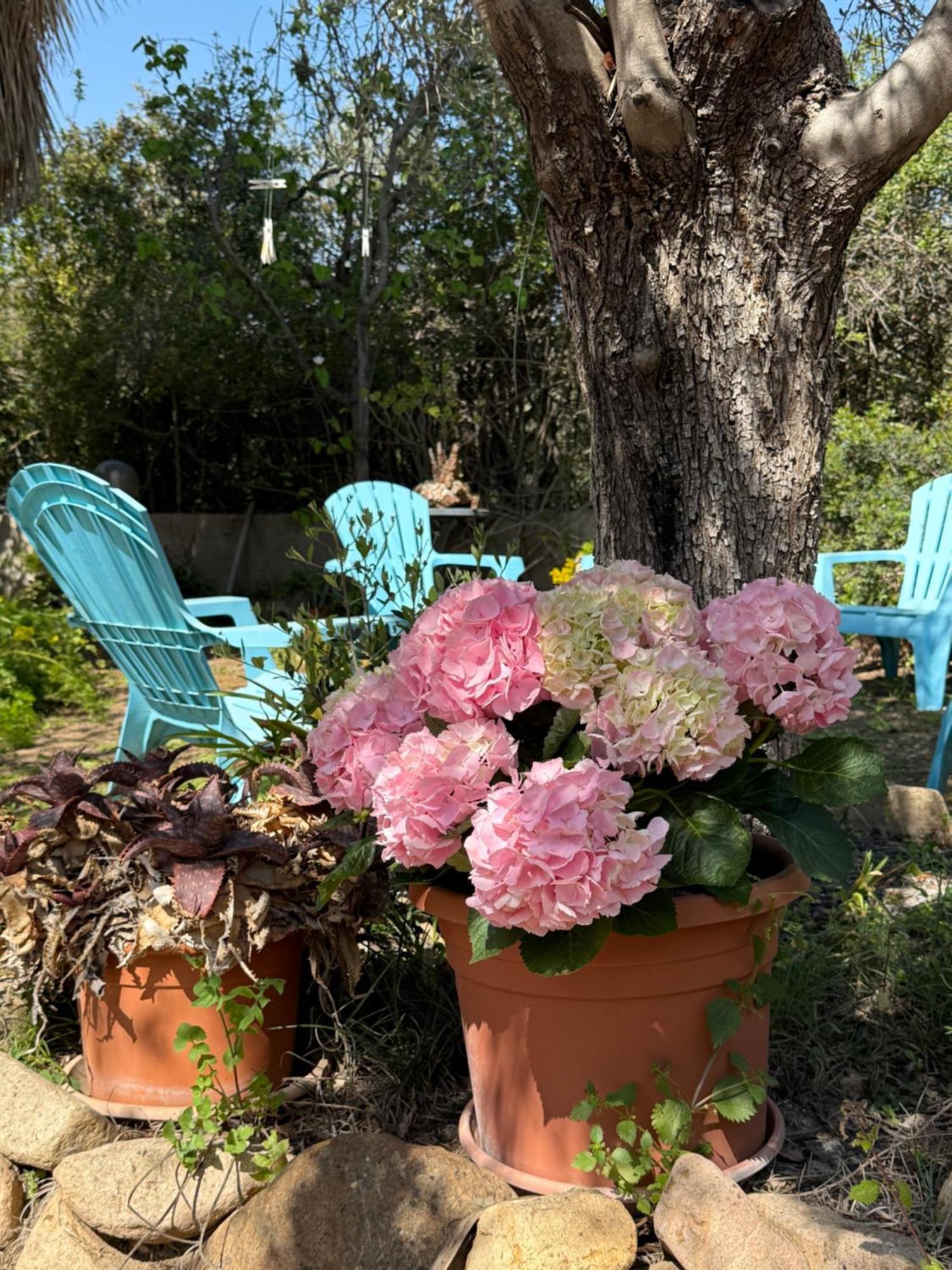 Lovely Home 5 Min Walk To The Beach, 3 Bedrooms Ample Outdoor Relax And Wifi Capitana Extérieur photo